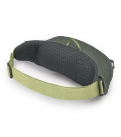 Osprey Daylite Waist