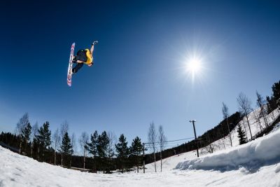 Lib Tech T. Rice PRO