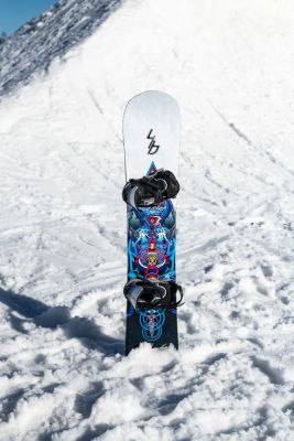 Lib Tech T. Rice PRO